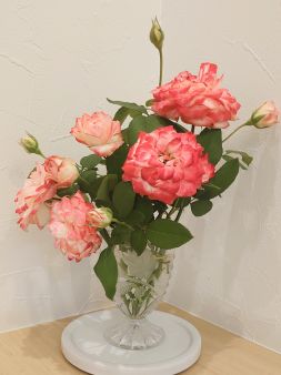 プリンセスドゥモナコ