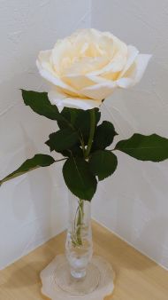 ホワイトクリスマス