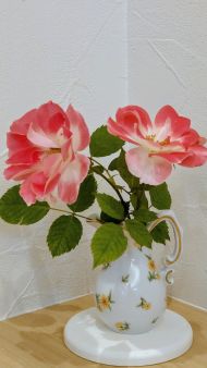 レーベンスベルグ