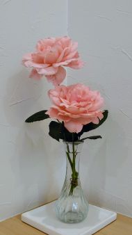 クイーンエリザベス