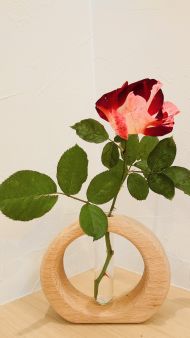 フォースオブジュライ