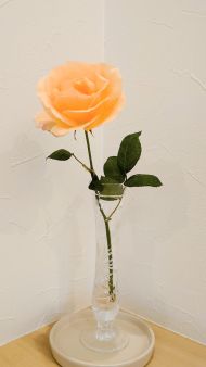 アプリコットネクター