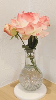 プリンセスドゥモナコ